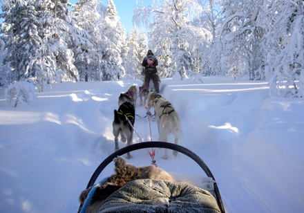 Ultieme 4-daagse reis naar LAPLAND